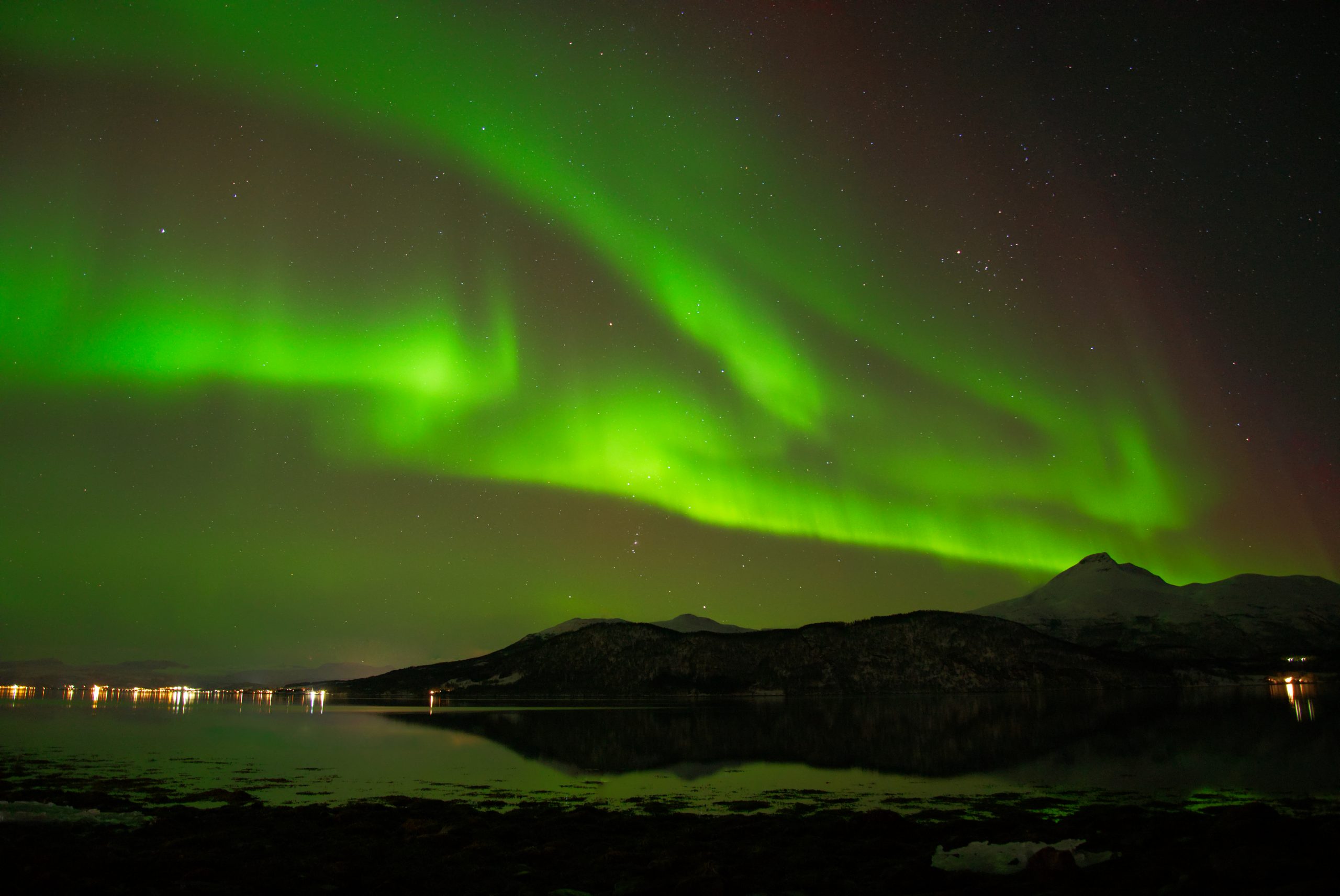 Polarlichter in Norwegen – ein außergewöhnlicher Erfahrungsbericht!