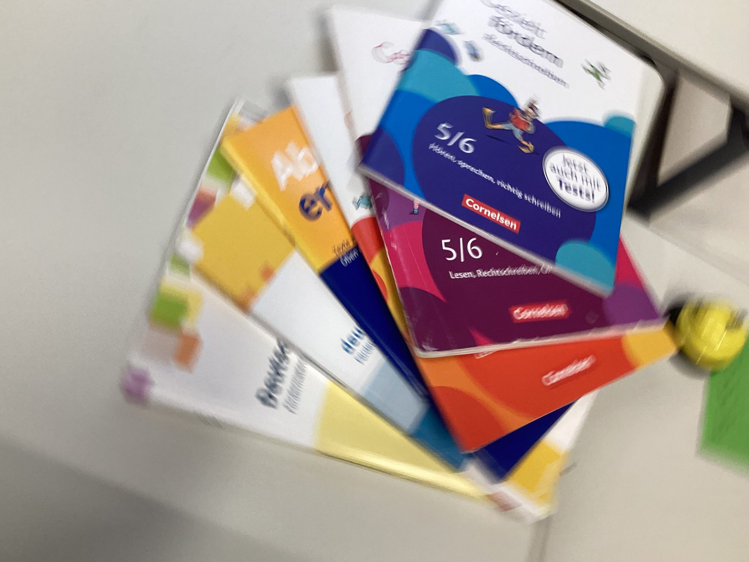 Nahezu perfekt – Frau Kruse und ihre Schützlinge berichten von Deutsch Plus